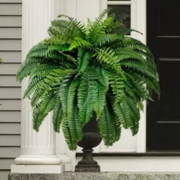 UV Resistant Lifelike Artificial Boston Fern – Hot Sale 50% Off