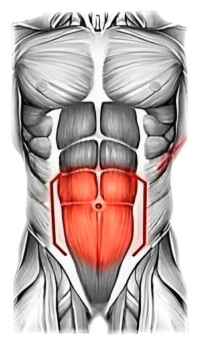 Ab Force Stimulator