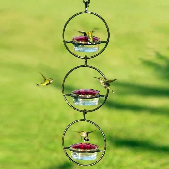 Hummble Slim Hummingbird Feeder – Hot Sale 50% Off