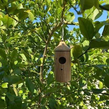 Wooden Hummingbird House-Gift for Nature Lovers - Hot Sale 50% Off