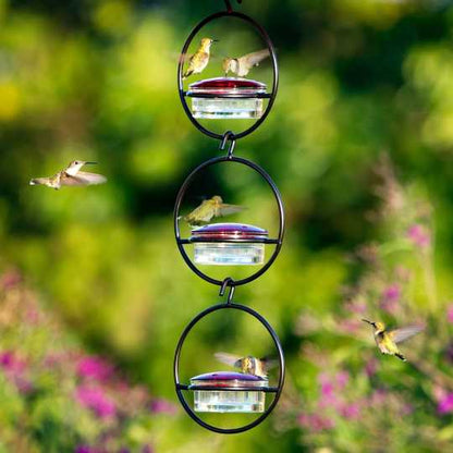 Hummble Slim Hummingbird Feeder – Hot Sale 50% Off