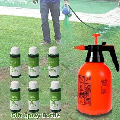 Hot Sale Green Grass Lawn Spray-ONLY $7.99!!!