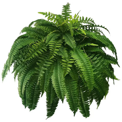 UV Resistant Lifelike Artificial Boston Fern