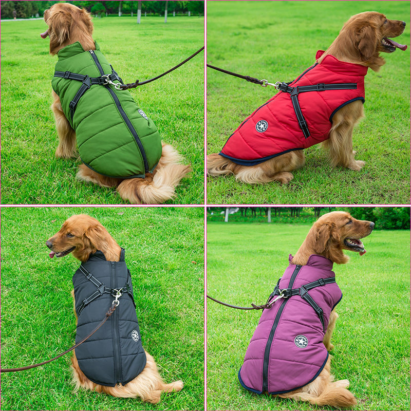 Waterproof Winter Jacket With Built-In Harness