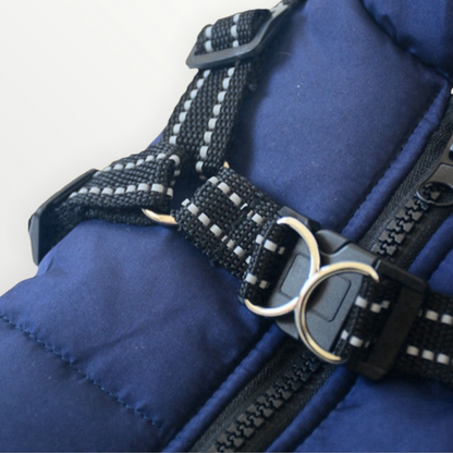 Waterproof Winter Jacket With Built-In Harness