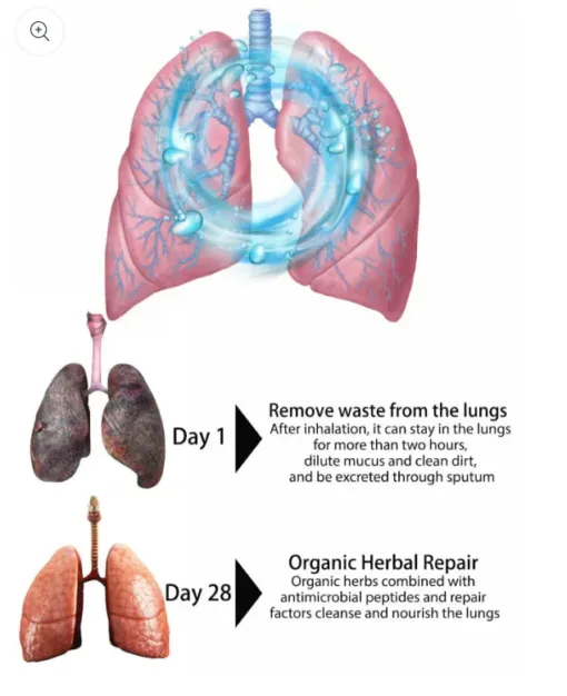 LOVILDS Organic Herbal Nasal Spray