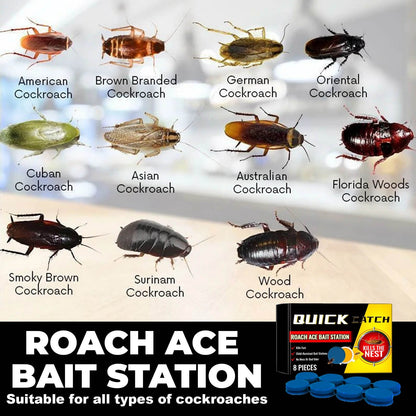 Roach Ace Bait Station