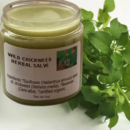 WILD CHICKWEED HERBAL SALVE - Hot Sale 50% Off