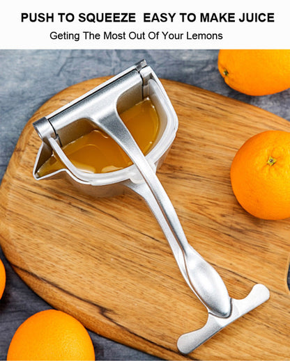 Stainless Steel Juicer