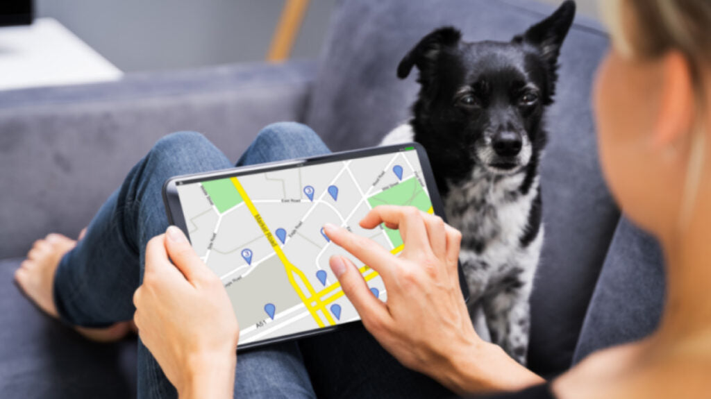 Keep Your Yard Open and Your Pet Safe with PuppiZone