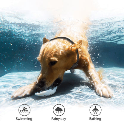 PuppiMend: Ensure Your Dog’s Safety with Reliable Training Methods