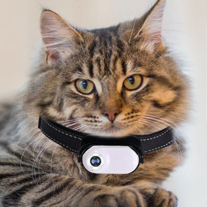 SnapPurr: Your Window into Your Cat’s World