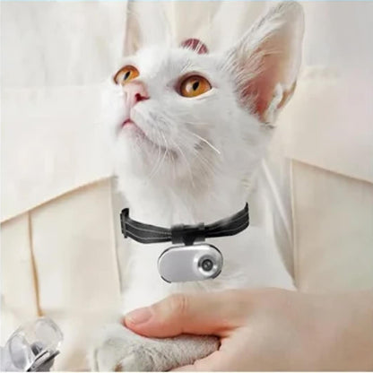 SnapPurr: Your Window into Your Cat’s World