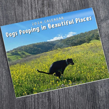 Beautiful Sunflower - "Artistic expression" of furry friends - Funniest calendar of the century - Hot Sale 70%